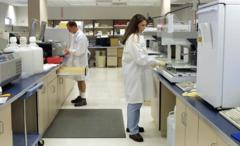 Human DNA not patentable: US Supreme Court